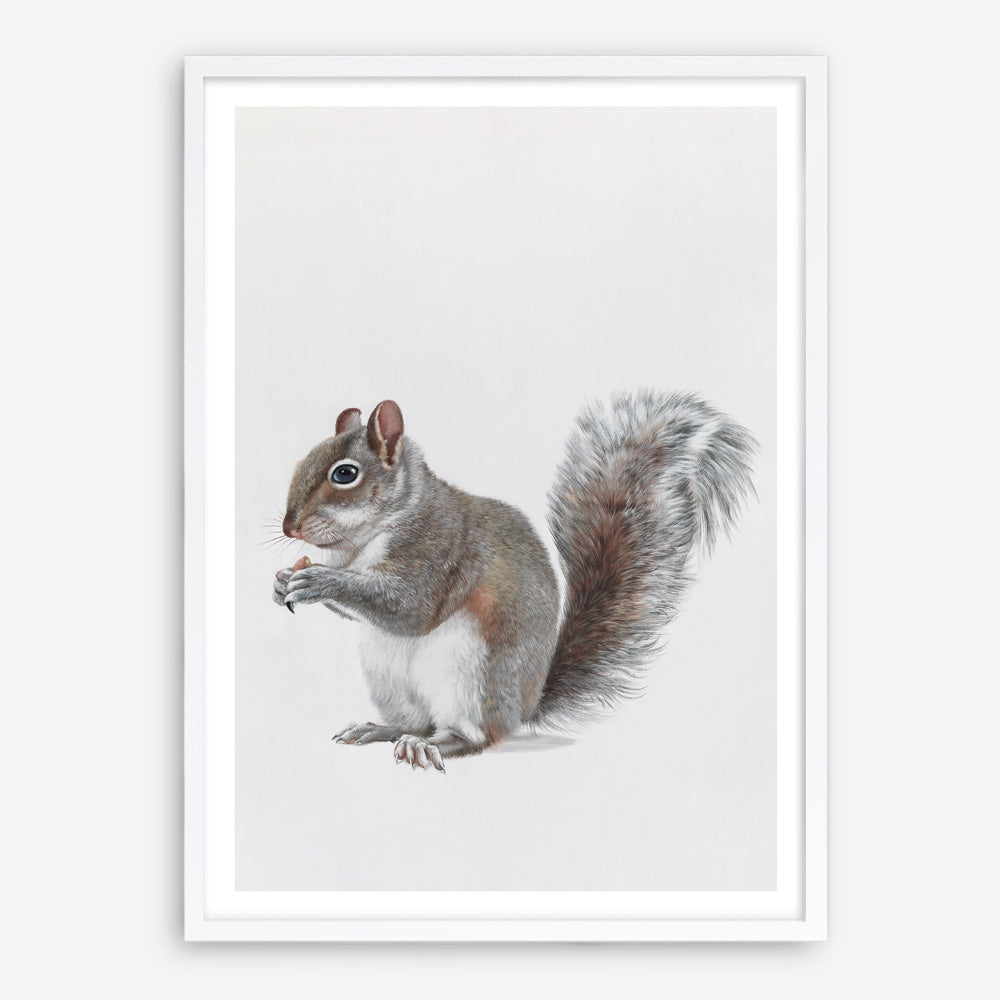Shop Baby Squirrel Art Print a painted adorable baby nursery animal themed wall art print from The Print Emporium wall artwork collection - Buy Australian made fine art painting style poster and framed prints for the home and your interior decor room, TPE-255-AP