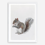 Shop Baby Squirrel Art Print a painted adorable baby nursery animal themed wall art print from The Print Emporium wall artwork collection - Buy Australian made fine art painting style poster and framed prints for the home and your interior decor room, TPE-255-AP