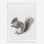 Shop Baby Squirrel Art Print a painted adorable baby nursery animal themed wall art print from The Print Emporium wall artwork collection - Buy Australian made fine art painting style poster and framed prints for the home and your interior decor room, TPE-255-AP