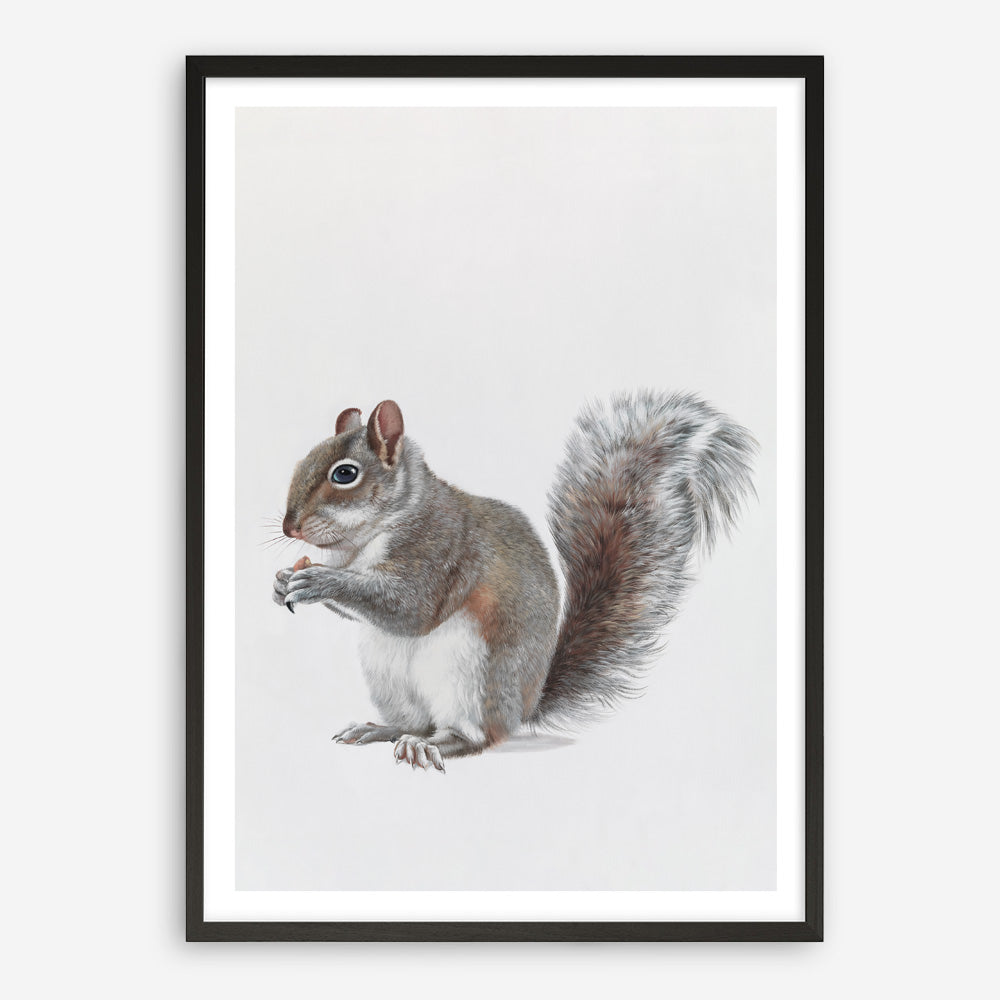 Shop Baby Squirrel Art Print a painted adorable baby nursery animal themed wall art print from The Print Emporium wall artwork collection - Buy Australian made fine art painting style poster and framed prints for the home and your interior decor room, TPE-255-AP