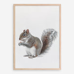 Shop Baby Squirrel Art Print a painted adorable baby nursery animal themed wall art print from The Print Emporium wall artwork collection - Buy Australian made fine art painting style poster and framed prints for the home and your interior decor room, TPE-255-AP