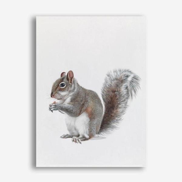 Shop Baby Squirrel Canvas Print a painted adorable baby nursery room animal themed framed canvas wall art print from The Print Emporium artwork collection - Buy Australian made fine art painting style stretched canvas prints for the home and your interior decor space, TPE-255-CA-35X46-NF