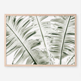 Shop Banana Palms Photo Art Print abstract painted design wall artwork prints by The Print Emporium buy Australian made fine art poster and framed canvas wall decor prints for the home and add some interior inspiration for your bedroom living room dining room or home office, TPE-546-AP