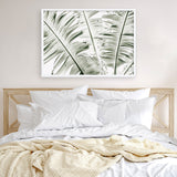 Banana Palms Photo Art Print