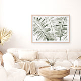 Banana Palms Photo Art Print