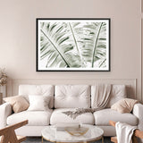 Banana Palms Photo Art Print