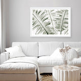 Banana Palms Photo Art Print