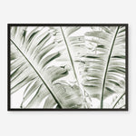 Shop Banana Palms Photo Art Print abstract painted design wall artwork prints by The Print Emporium buy Australian made fine art poster and framed canvas wall decor prints for the home and add some interior inspiration for your bedroom living room dining room or home office, TPE-546-AP