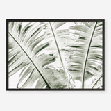 Shop Banana Palms Photo Art Print abstract painted design wall artwork prints by The Print Emporium buy Australian made fine art poster and framed canvas wall decor prints for the home and add some interior inspiration for your bedroom living room dining room or home office, TPE-546-AP