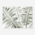 Shop Banana Palms Photo Art Print abstract painted design wall artwork prints by The Print Emporium buy Australian made fine art poster and framed canvas wall decor prints for the home and add some interior inspiration for your bedroom living room dining room or home office, TPE-546-AP