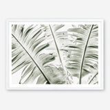 Shop Banana Palms Photo Art Print abstract painted design wall artwork prints by The Print Emporium buy Australian made fine art poster and framed canvas wall decor prints for the home and add some interior inspiration for your bedroom living room dining room or home office, TPE-546-AP