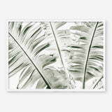 Shop Banana Palms Photo Art Print abstract painted design wall artwork prints by The Print Emporium buy Australian made fine art poster and framed canvas wall decor prints for the home and add some interior inspiration for your bedroom living room dining room or home office, TPE-546-AP