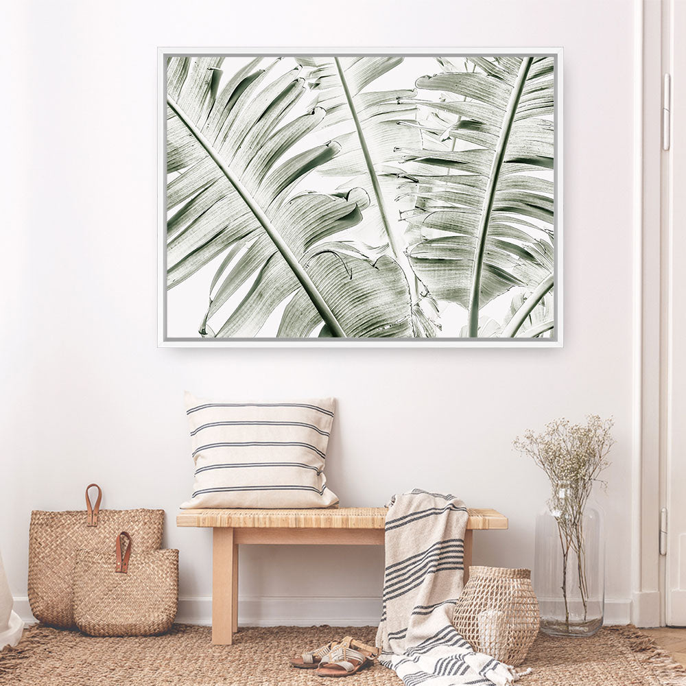 Shop Banana Palms Photo Canvas Print a coastal themed photography framed stretched canvas print from The Print Emporium wall artwork collection - Buy Australian made prints for the home and your interior decor space, TPE-546-CA-35X46-NF