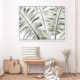 Shop Banana Palms Photo Canvas Print a coastal themed photography framed stretched canvas print from The Print Emporium wall artwork collection - Buy Australian made prints for the home and your interior decor space, TPE-546-CA-35X46-NF