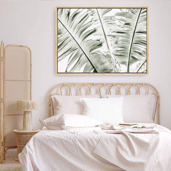 Shop Banana Palms Photo Canvas Print a coastal themed photography framed stretched canvas print from The Print Emporium wall artwork collection - Buy Australian made prints for the home and your interior decor space, TPE-546-CA-35X46-NF