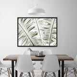 Shop Banana Palms Photo Canvas Print a coastal themed photography framed stretched canvas print from The Print Emporium wall artwork collection - Buy Australian made prints for the home and your interior decor space, TPE-546-CA-35X46-NF