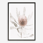 Shop Banksia I Photo Art Print a floral themed photography wall art print from The Print Emporium wall artwork collection - Buy Australian made fine art poster and framed prints for the home and your interior decor room, TPE-520-AP