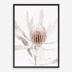 Shop Banksia I Photo Art Print a floral themed photography wall art print from The Print Emporium wall artwork collection - Buy Australian made fine art poster and framed prints for the home and your interior decor room, TPE-520-AP