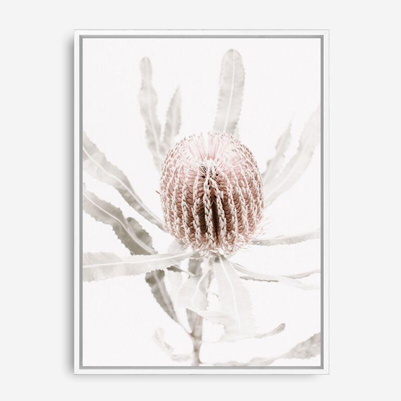 Shop Banksia I Photo Canvas Print a floral themed photography framed stretched canvas print from The Print Emporium wall artwork collection - Buy Australian made prints for the home and your interior decor space, TPE-520-CA-35X46-NF