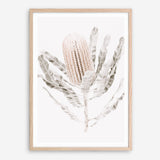 Shop Banksia III Photo Art Print a floral themed photography wall art print from The Print Emporium wall artwork collection - Buy Australian made fine art poster and framed prints for the home and your interior decor room, TPE-521-AP