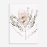 Shop Banksia III Photo Art Print a floral themed photography wall art print from The Print Emporium wall artwork collection - Buy Australian made fine art poster and framed prints for the home and your interior decor room, TPE-521-AP