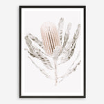 Shop Banksia III Photo Art Print a floral themed photography wall art print from The Print Emporium wall artwork collection - Buy Australian made fine art poster and framed prints for the home and your interior decor room, TPE-521-AP