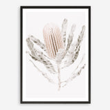 Shop Banksia III Photo Art Print a floral themed photography wall art print from The Print Emporium wall artwork collection - Buy Australian made fine art poster and framed prints for the home and your interior decor room, TPE-521-AP