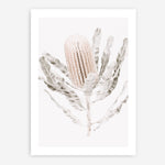Shop Banksia III Photo Art Print a floral themed photography wall art print from The Print Emporium wall artwork collection - Buy Australian made fine art poster and framed prints for the home and your interior decor room, TPE-521-AP