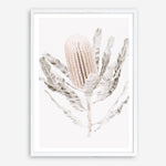 Shop Banksia III Photo Art Print a floral themed photography wall art print from The Print Emporium wall artwork collection - Buy Australian made fine art poster and framed prints for the home and your interior decor room, TPE-521-AP