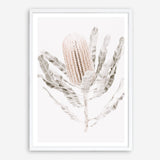 Shop Banksia III Photo Art Print a floral themed photography wall art print from The Print Emporium wall artwork collection - Buy Australian made fine art poster and framed prints for the home and your interior decor room, TPE-521-AP