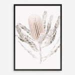 Shop Banksia III Photo Art Print a floral themed photography wall art print from The Print Emporium wall artwork collection - Buy Australian made fine art poster and framed prints for the home and your interior decor room, TPE-521-AP