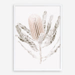Shop Banksia III Photo Art Print a floral themed photography wall art print from The Print Emporium wall artwork collection - Buy Australian made fine art poster and framed prints for the home and your interior decor room, TPE-521-AP