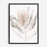 Shop Banksia III Photo Canvas Print a floral themed photography framed stretched canvas print from The Print Emporium wall artwork collection - Buy Australian made prints for the home and your interior decor space, TPE-521-CA-35X46-NF
