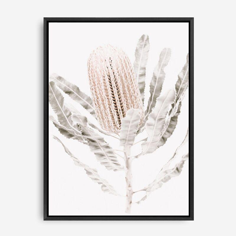 Shop Banksia III Photo Canvas Print a floral themed photography framed stretched canvas print from The Print Emporium wall artwork collection - Buy Australian made prints for the home and your interior decor space, TPE-521-CA-35X46-NF