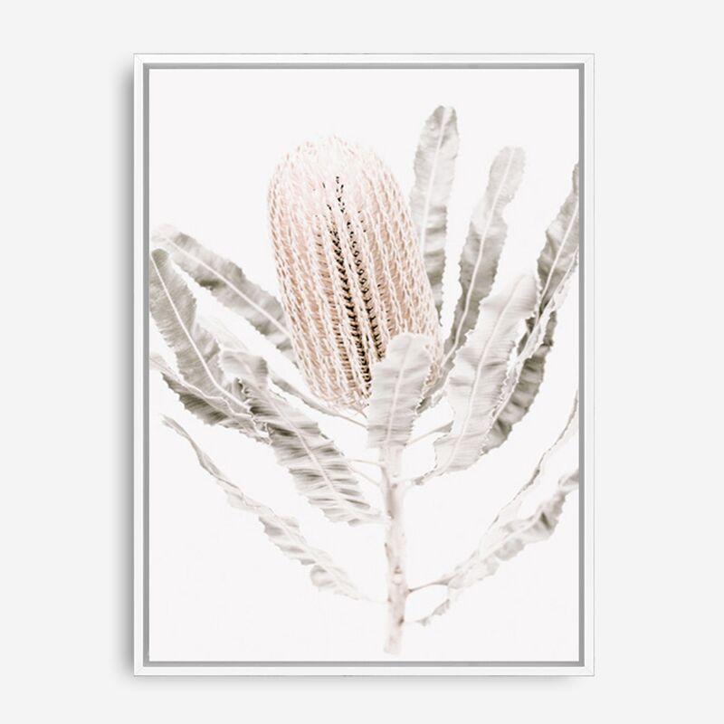 Shop Banksia III Photo Canvas Print a floral themed photography framed stretched canvas print from The Print Emporium wall artwork collection - Buy Australian made prints for the home and your interior decor space, TPE-521-CA-35X46-NF
