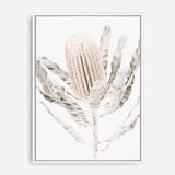 Shop Banksia III Photo Canvas Print a floral themed photography framed stretched canvas print from The Print Emporium wall artwork collection - Buy Australian made prints for the home and your interior decor space, TPE-521-CA-35X46-NF