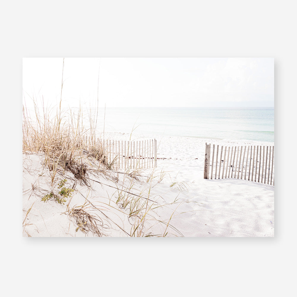 Shop Beach Access Photo Art Print a coastal themed photography wall art print from The Print Emporium wall artwork collection - Buy Australian made fine art poster and framed prints for the home and your interior decor, TPE-1230-AP