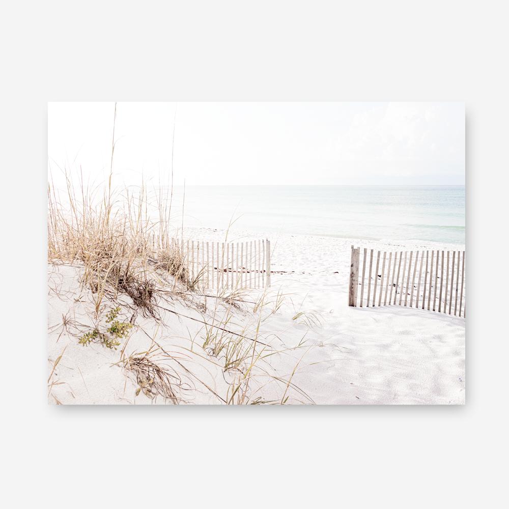 Shop Beach Access Photo Canvas Print a coastal themed photography framed stretched canvas print from The Print Emporium wall artwork collection - Buy Australian made prints for the home and your interior decor space, TPE-1230-CA-35X46-NF