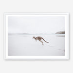 Shop Beach Kangaroo Photo Art Print a coastal themed photography wall art print from The Print Emporium wall artwork collection - Buy Australian made fine art poster and framed prints for the home and your interior decor, TPE-1006-AP