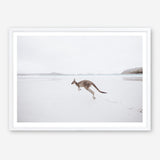 Shop Beach Kangaroo Photo Art Print a coastal themed photography wall art print from The Print Emporium wall artwork collection - Buy Australian made fine art poster and framed prints for the home and your interior decor, TPE-1006-AP
