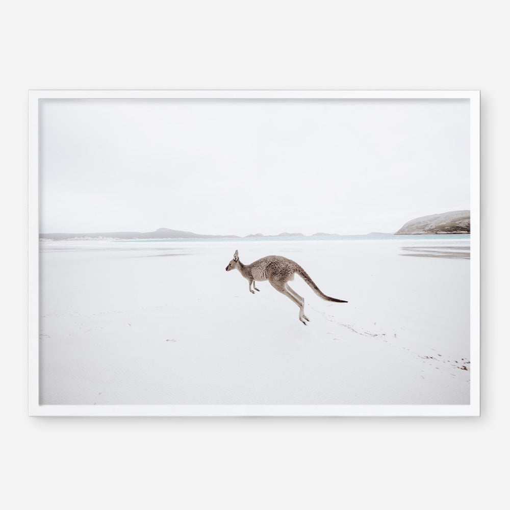 Shop Beach Kangaroo Photo Art Print a coastal themed photography wall art print from The Print Emporium wall artwork collection - Buy Australian made fine art poster and framed prints for the home and your interior decor, TPE-1006-AP