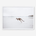 Shop Beach Kangaroo Photo Art Print a coastal themed photography wall art print from The Print Emporium wall artwork collection - Buy Australian made fine art poster and framed prints for the home and your interior decor, TPE-1006-AP