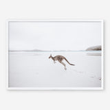 Shop Beach Kangaroo Photo Art Print a coastal themed photography wall art print from The Print Emporium wall artwork collection - Buy Australian made fine art poster and framed prints for the home and your interior decor, TPE-1006-AP