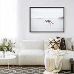 Shop Beach Kangaroo Photo Art Print a coastal themed photography wall art print from The Print Emporium wall artwork collection - Buy Australian made fine art poster and framed prints for the home and your interior decor, TPE-1006-AP