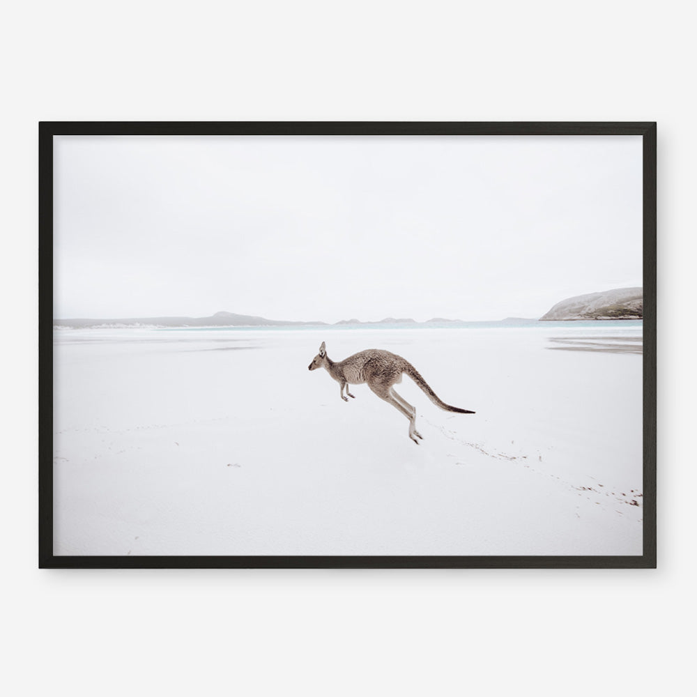 Shop Beach Kangaroo Photo Art Print a coastal themed photography wall art print from The Print Emporium wall artwork collection - Buy Australian made fine art poster and framed prints for the home and your interior decor, TPE-1006-AP