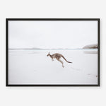 Shop Beach Kangaroo Photo Art Print a coastal themed photography wall art print from The Print Emporium wall artwork collection - Buy Australian made fine art poster and framed prints for the home and your interior decor, TPE-1006-AP