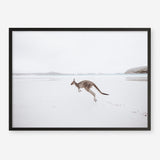 Shop Beach Kangaroo Photo Art Print a coastal themed photography wall art print from The Print Emporium wall artwork collection - Buy Australian made fine art poster and framed prints for the home and your interior decor, TPE-1006-AP