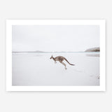 Shop Beach Kangaroo Photo Art Print a coastal themed photography wall art print from The Print Emporium wall artwork collection - Buy Australian made fine art poster and framed prints for the home and your interior decor, TPE-1006-AP