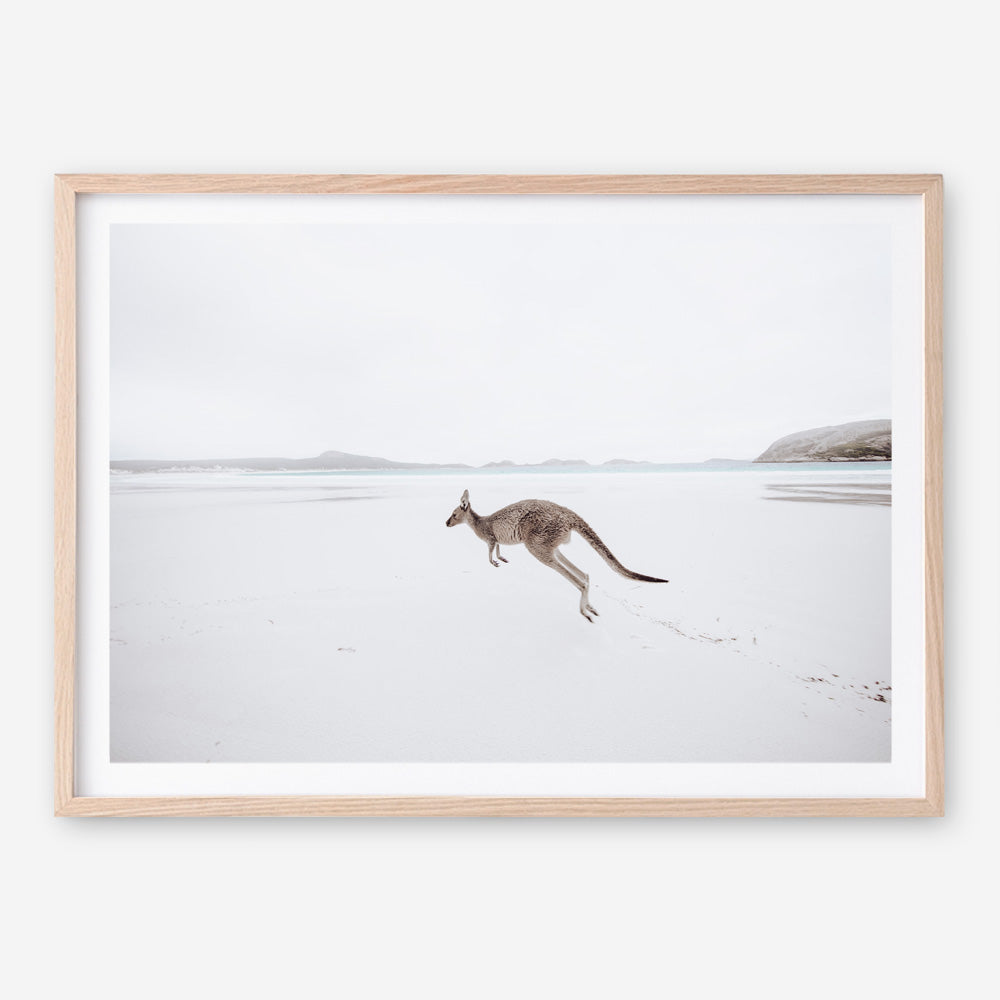 Shop Beach Kangaroo Photo Art Print a coastal themed photography wall art print from The Print Emporium wall artwork collection - Buy Australian made fine art poster and framed prints for the home and your interior decor, TPE-1006-AP