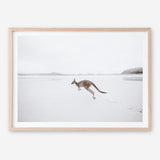 Shop Beach Kangaroo Photo Art Print a coastal themed photography wall art print from The Print Emporium wall artwork collection - Buy Australian made fine art poster and framed prints for the home and your interior decor, TPE-1006-AP